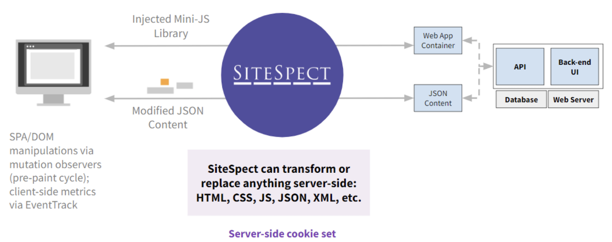 SiteSpect SPA architecture