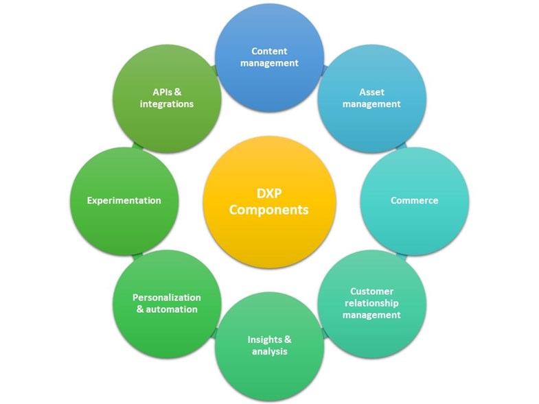 DXP Components